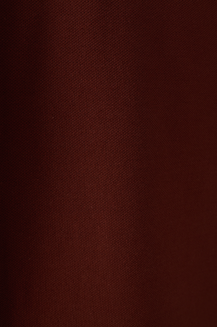 Brown Embroidered Buttoned Polo Shirt_6