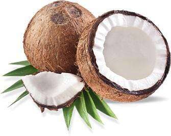 Fractionated Coconut Carrier Oil at Your Oil Tools
