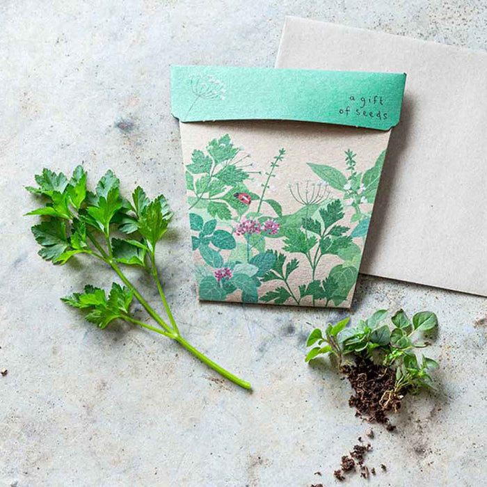 Seed packet with botanical design on a concrete surface with plants and soil.