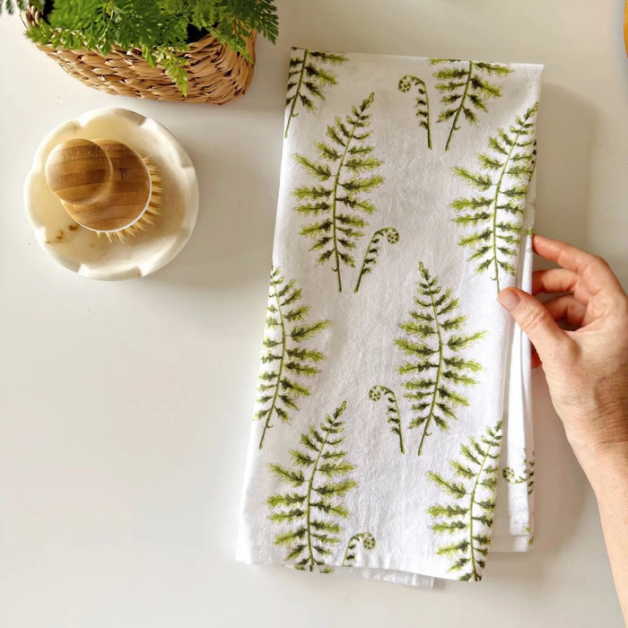 Fern