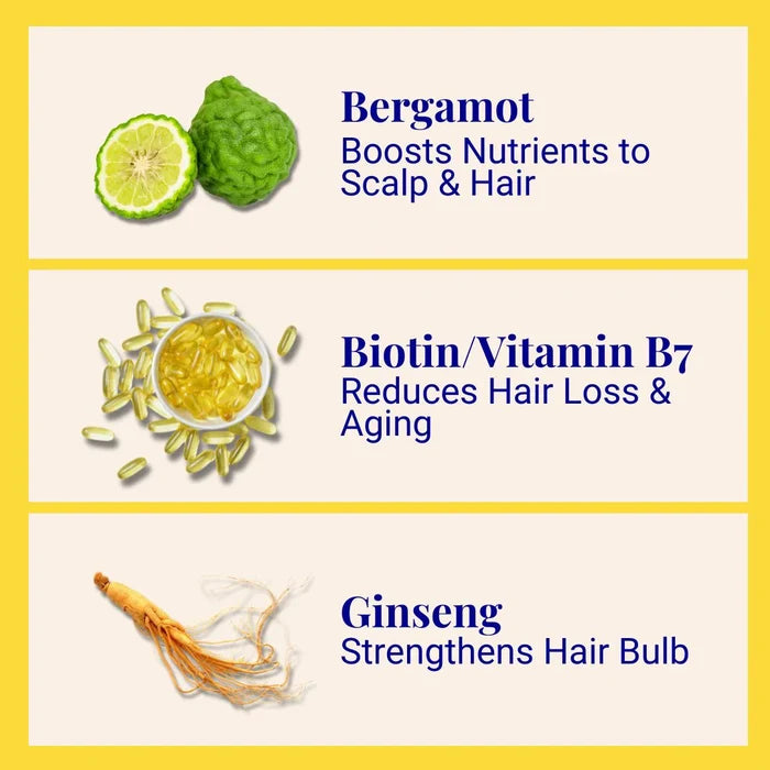 1 Year Supply - (320x Washes) Invigorating Shampoo For Thinning & Ageing Hair Bergamot, Biotin, Ginger & Ginseng