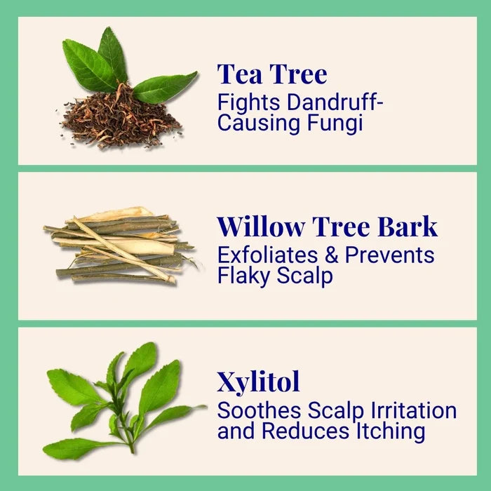 1 Year Supply (320x Washes ) - Exfoliating Shampoo For Loose Dandruff Flakes Tea Tree & Salicylic Acid