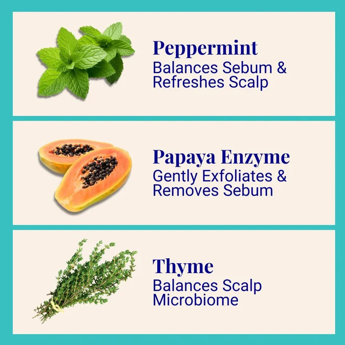 1 Year Supply (320x Washes) - Purifying Shampoo For Oily Scalp & Limp Hair Peppermint & Papaya Enzyme