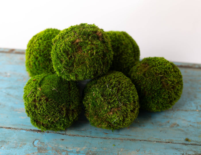 6'' Large Moss Ball - Magnolia Lane co. Home + Garden + Gift