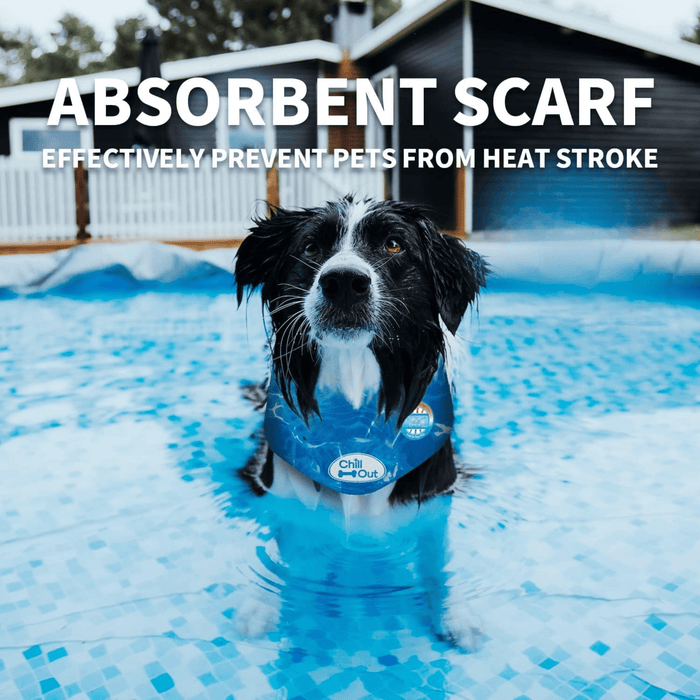 Black and white Collie dog sat in a pool wearing a blue bandana with wave pattern. White text at the top of the image says 'Absorbent Scarf. Effectively Prevent Pets From Heat Stroke'.