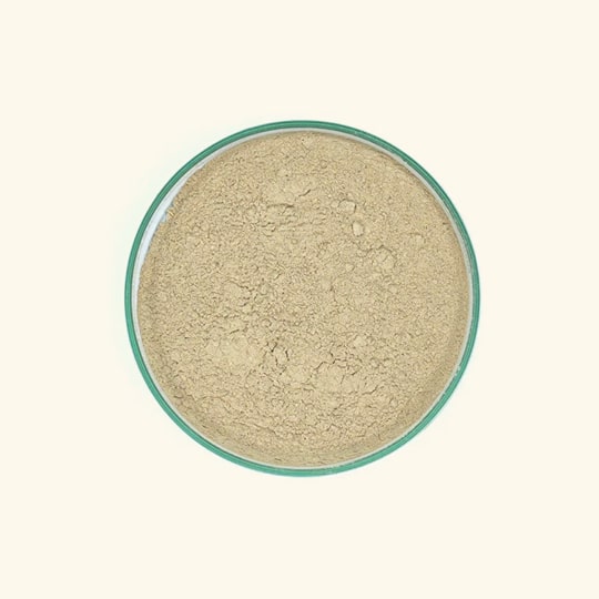 Buy Ashwagandha Powder