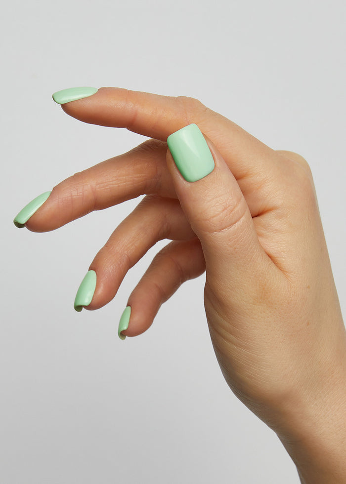 Brighton Rock Hema-free Paint