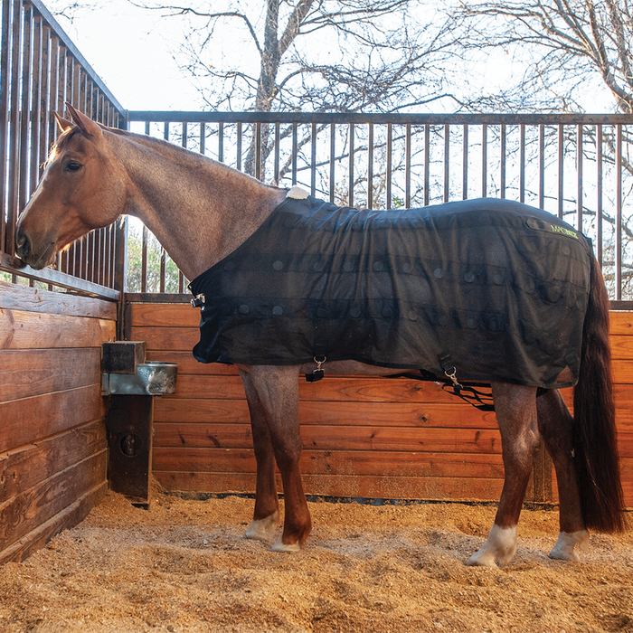 Classic Equine | MagNTX Sheet