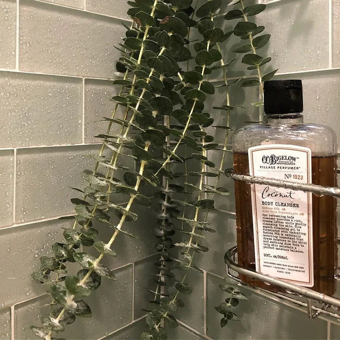 C.O. Bigelow Coconut Body Cleanser
