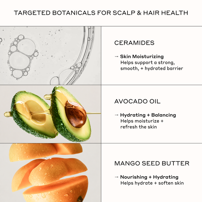 Zenagen Crème de la Zen ingredient infographic detailing the moisturizing, hydrating, and nourishing benefits of Ceramides, Avocado Oil, and Mango Seed Butter for scalp and hair health.