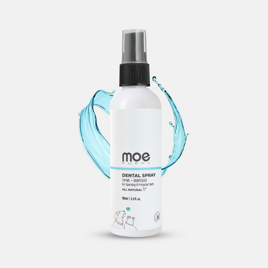 Moe Puppy Dental Spray bottle for dogs and cats