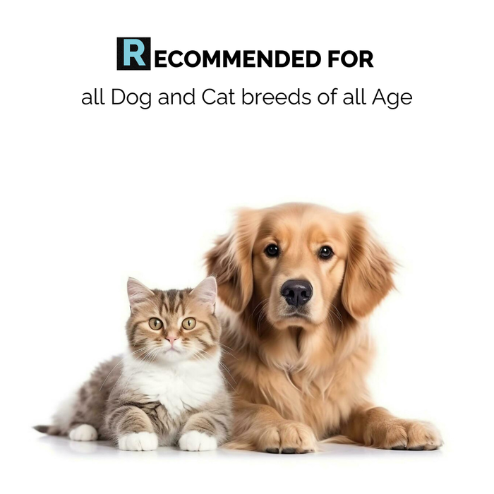 Moe Puppy Dental Spray recommended for all dogs and cats
