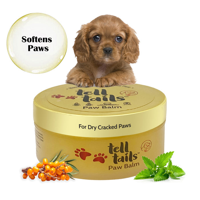 Dog Paw Balm