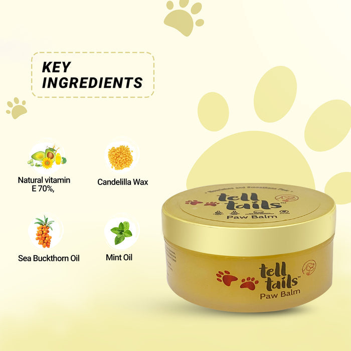 Dog Paw Balm