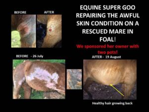 Equine SuperGoo Original Topical Cream 30mL Pump bottle