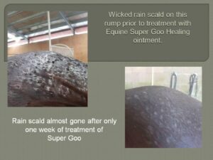 Equine SuperGoo Original Topical Cream 30mL Pump bottle