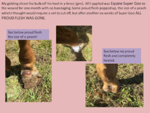 Equine SuperGoo Original Topical Cream 30mL Pump bottle