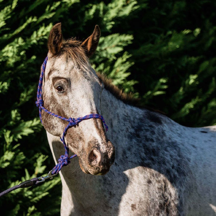Flair Rope Halters
