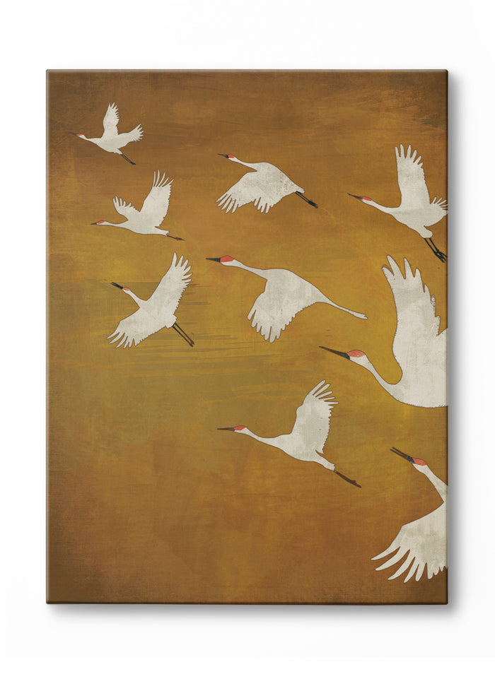 Flock, Poster