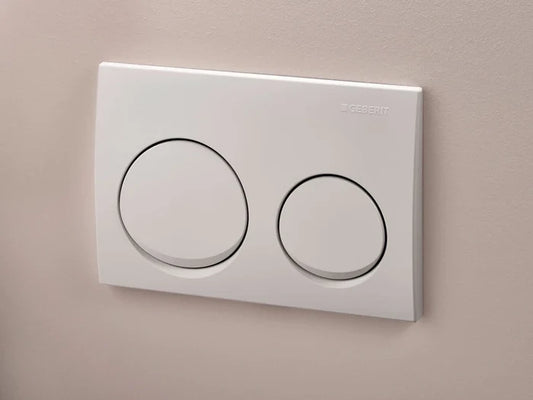 Geberit Toilet Button Chrome Plate For Concealed Cistern