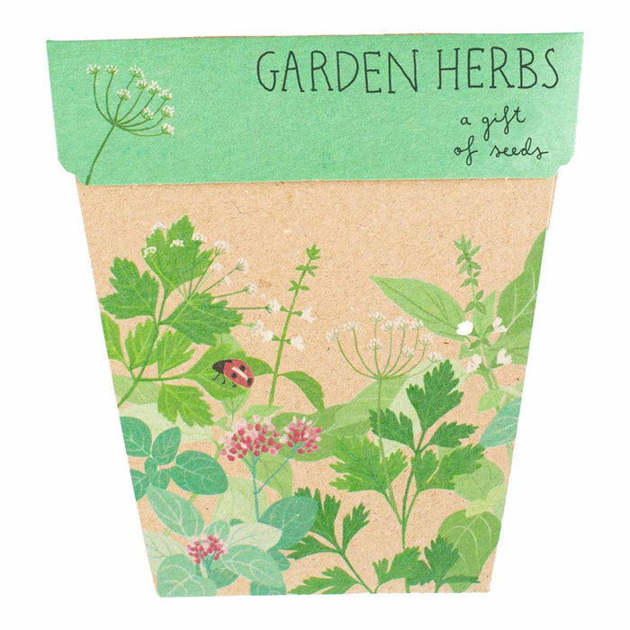 Pack of garden herbs with illustrations on a white background