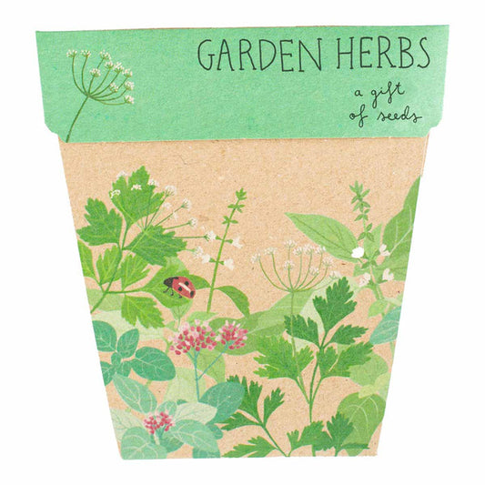 Pack of garden herbs with illustrations on a white background