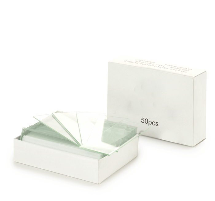 Glass Slides x 50 Pcs