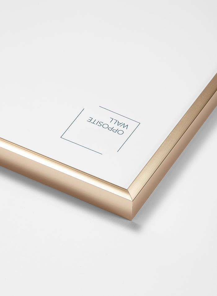 Gold Metal Frame (2 Pack), 8x10 in | 20x25 cm