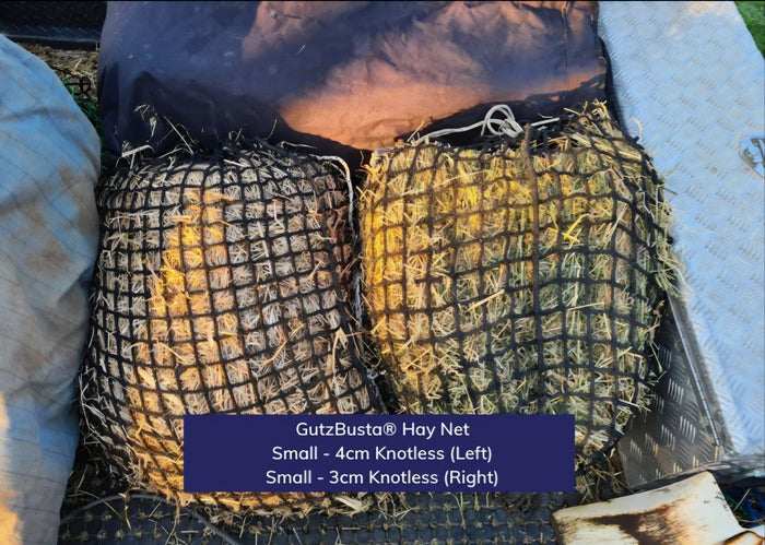 Gutzbusta Knotless Haynet - Small