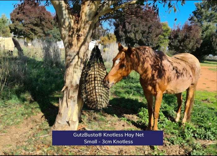 Gutzbusta Knotless Haynet - Small
