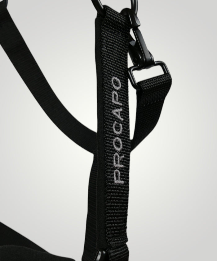 Halfter Ambassador schwarz