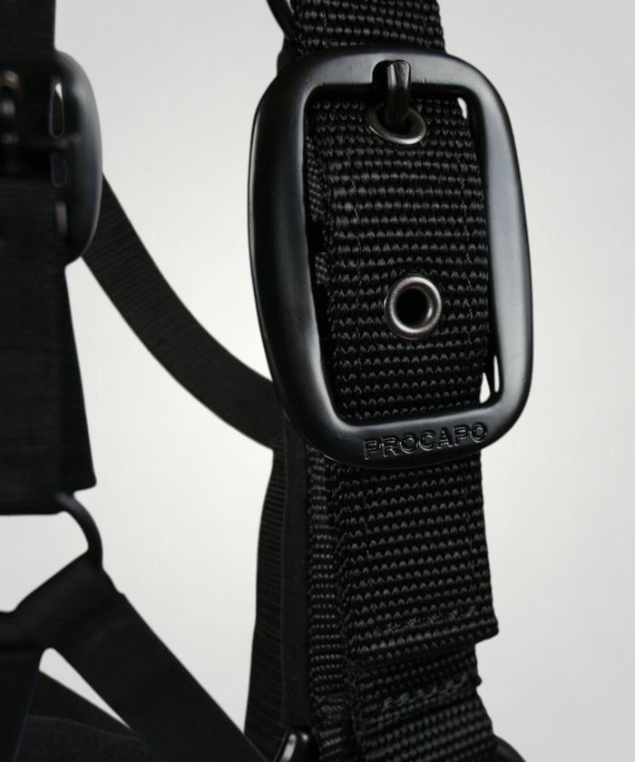 Halfter Ambassador schwarz