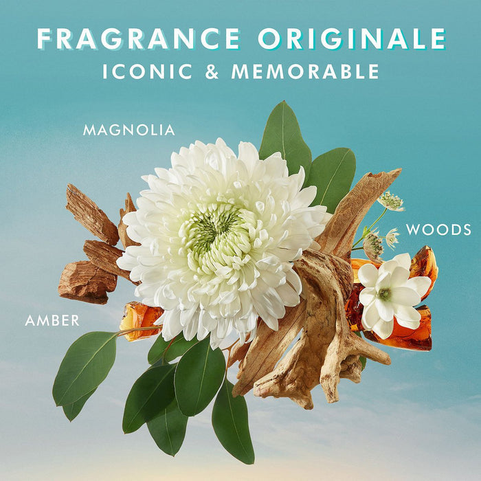 Close-up of magnolia flower, amber, woods, and green leaves arranged to highlight the iconic and memorable scent notes for Hand Wash | Moroccanoil skincare product.