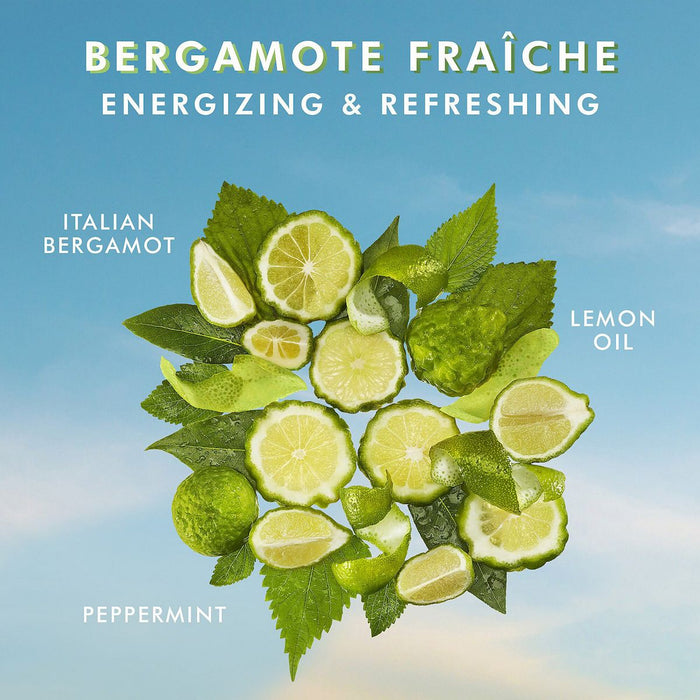 Sliced Italian bergamot, lemon oil, and peppermint leaves arranged in a circular pattern against a clear blue sky background, highlighting the invigorating ingredients of Hand Wash | Moroccanoil.