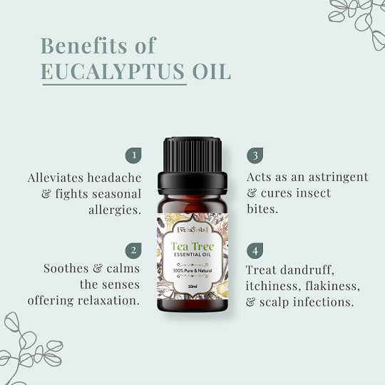 Benefits of Eucalyptus Oil