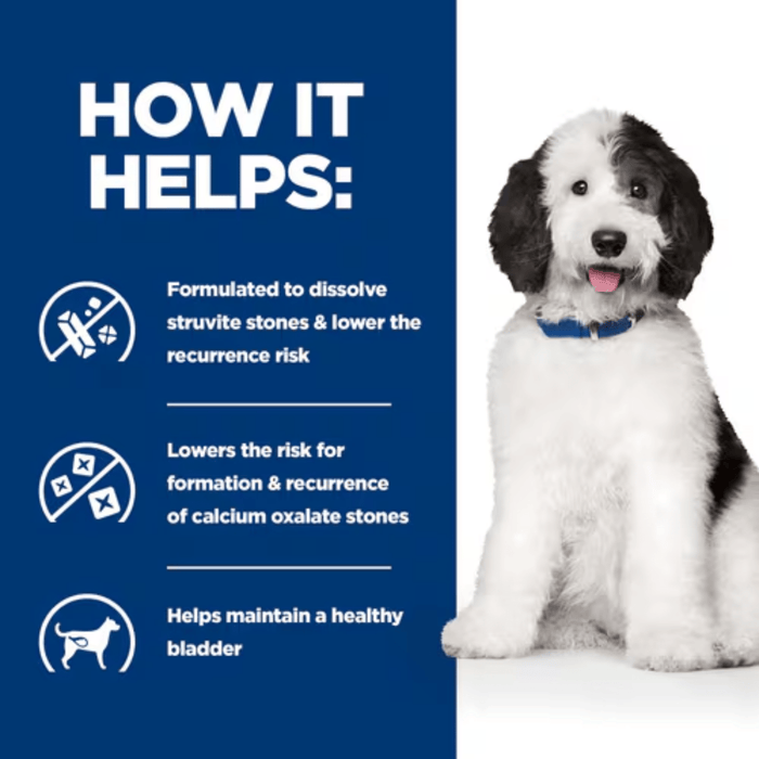 Picture of an adult black and white dog pictured next to a blue section with white text stating 'How it helps: Formulated to dissolve struvite stones & lower the recurrence risk, Lowers the risk for formation & recurrence of calcium oxalate stones, Helps maintain a healthy bladder.'