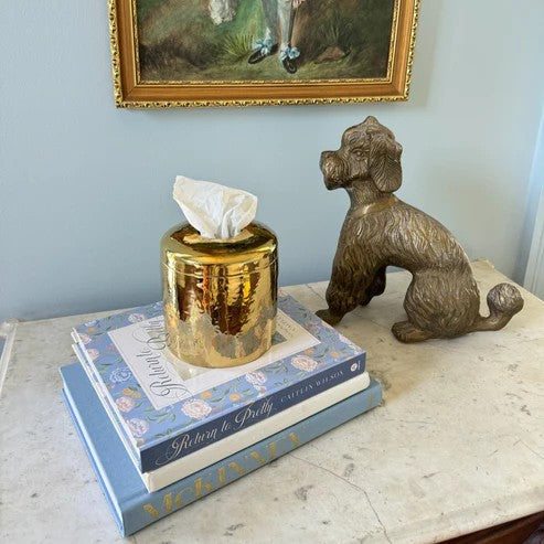 House of Happy Charlie Tissue Vessel