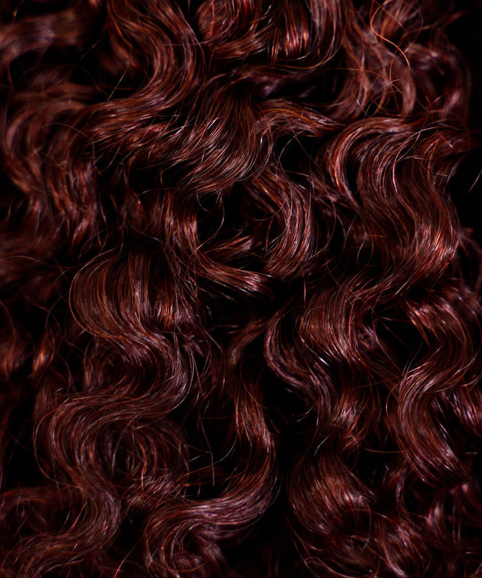 Close-up of shiny burgundy curls with defined ringlets and natural highlights, styled with the Perfect Locks Kinky Curly Clip-In Bun hair extension.#color_burgundy-(99J)