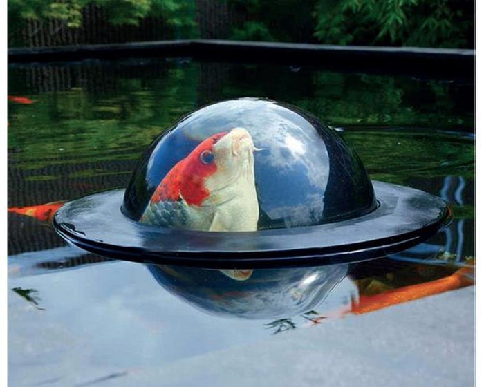 Koi Viewing sphere Medium - SKS Wholesale
