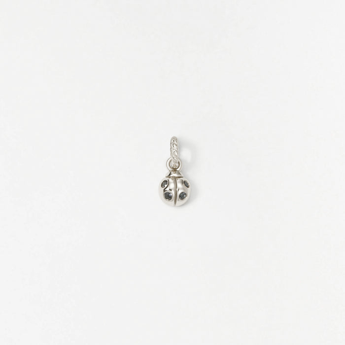 Ladybug Charm