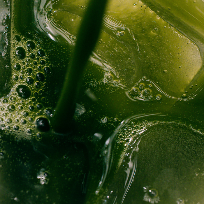 LAKA® Matcha™ [24 Sticks]