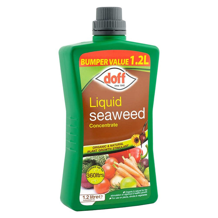 Liquid Seaweed 1.2 Litre  | Poundstretcher 316763