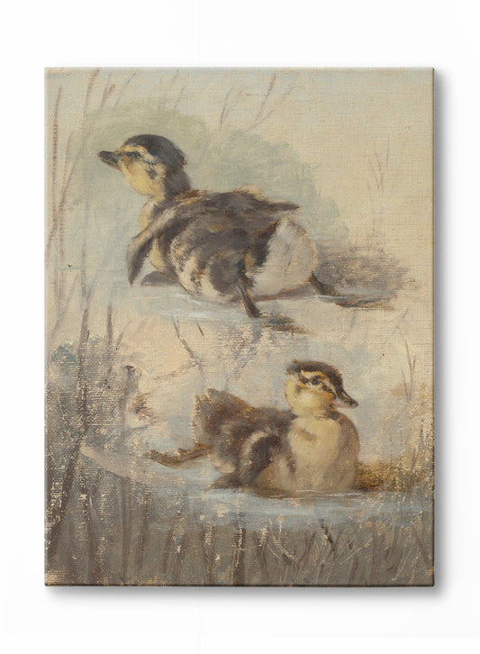 Little Ducklings, Canvas