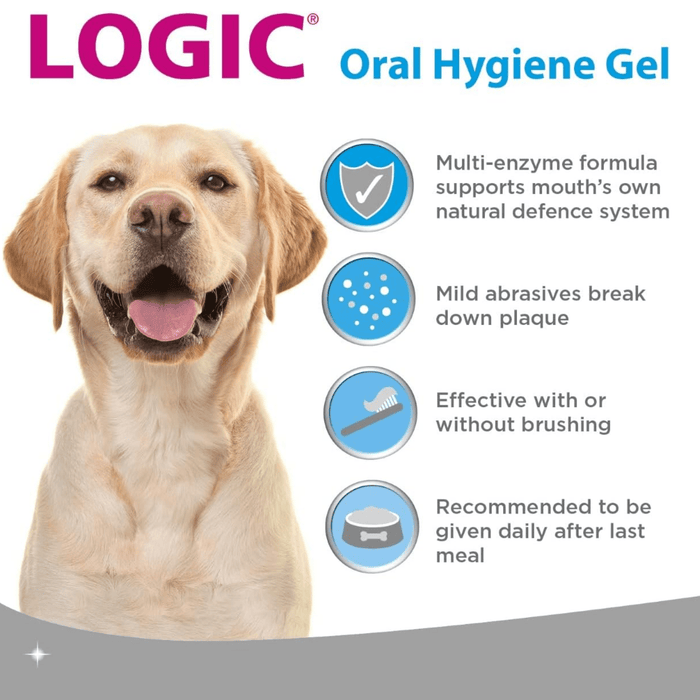 Dog oral hygiene gel promotional graphic with a light-colored Labrador dog on the left and four blue feature icons with text on the right. The top reads 'LOGIC Oral Hygiene Gel' in pink and blue text on a white background with a gray curved footer.