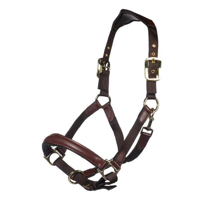 Luna Leather and Webbing Halter