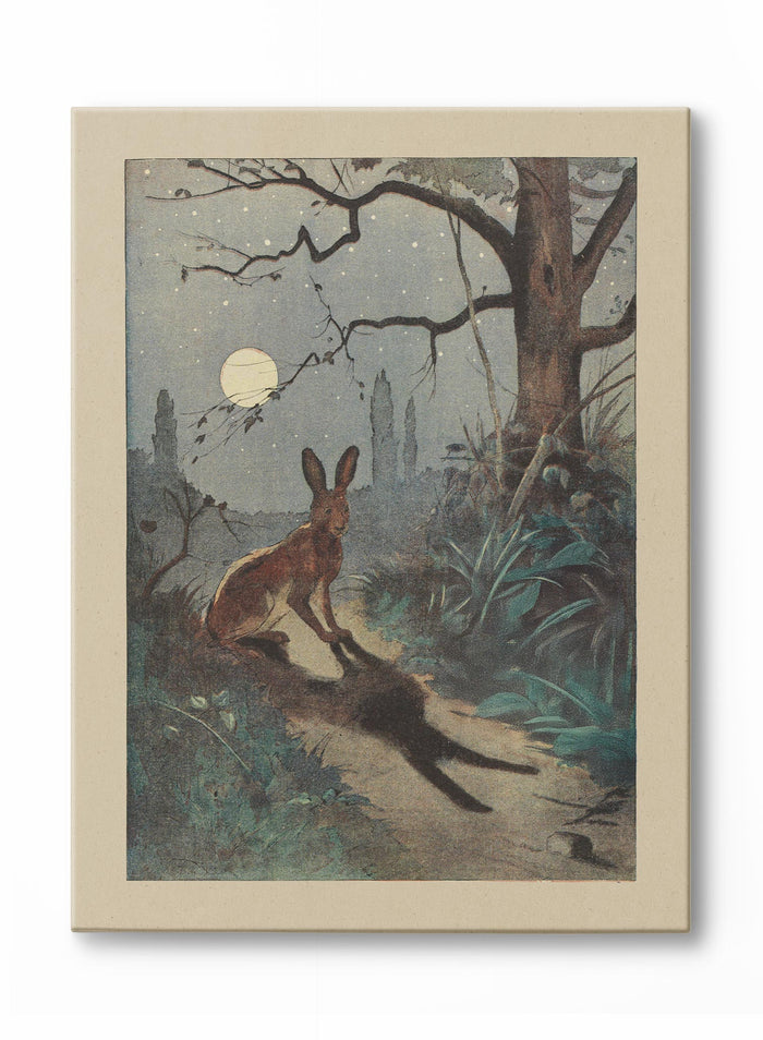 Moonlit Dreams, Canvas