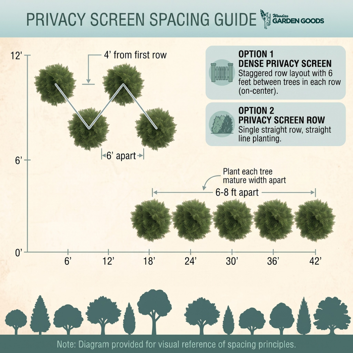 Privacy screen spacing guide diagram from Garden Goods showing tree spacing options, with labeled measurements, row layouts, and tree silhouette examples on a light beige background.