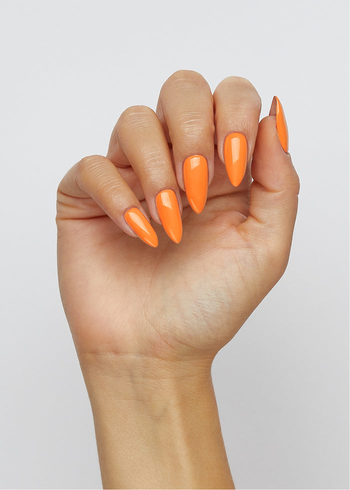 Orange Soda Hema-Free Paint
