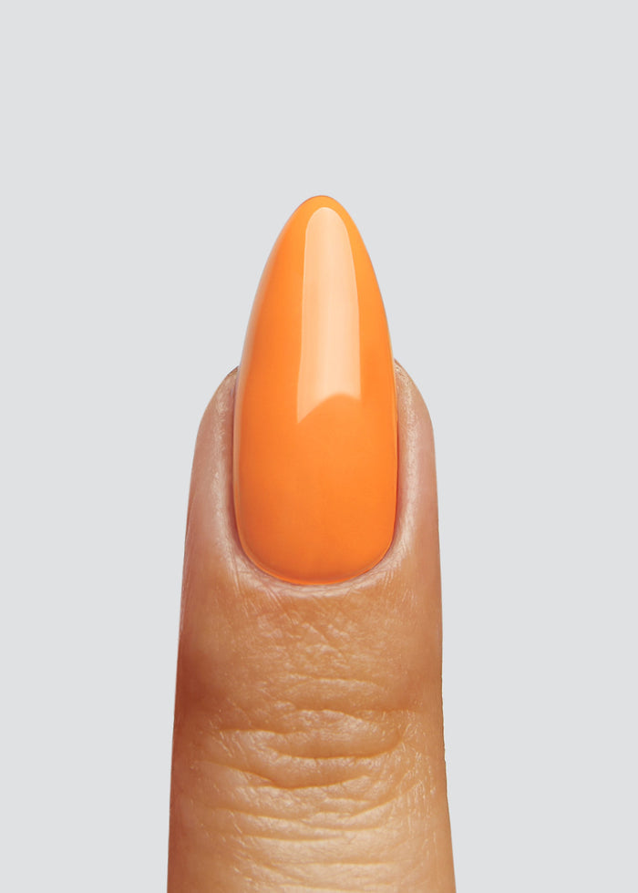 Orange Soda Hema-Free Paint