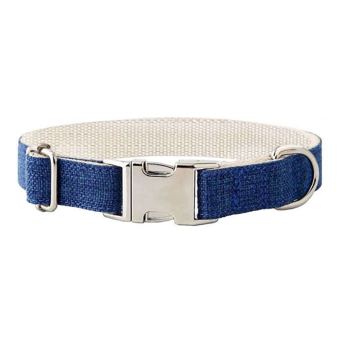 Blue dog collar with a silver buckle on a white background.